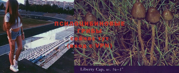 альфа пвп Богородицк